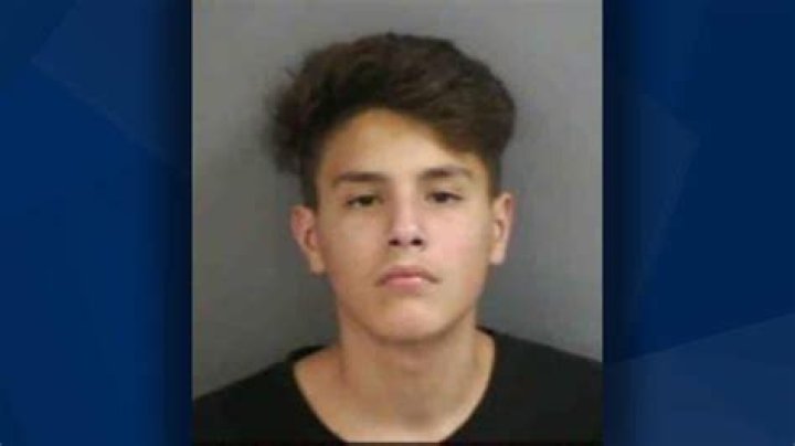 "14 Year Old Arrested" And The Path To Rehabilitation