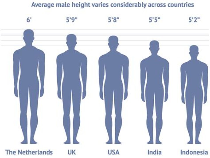 Unveiling The Secrets Of 1.88 M Height In Feet: Discoveries And Insights Await