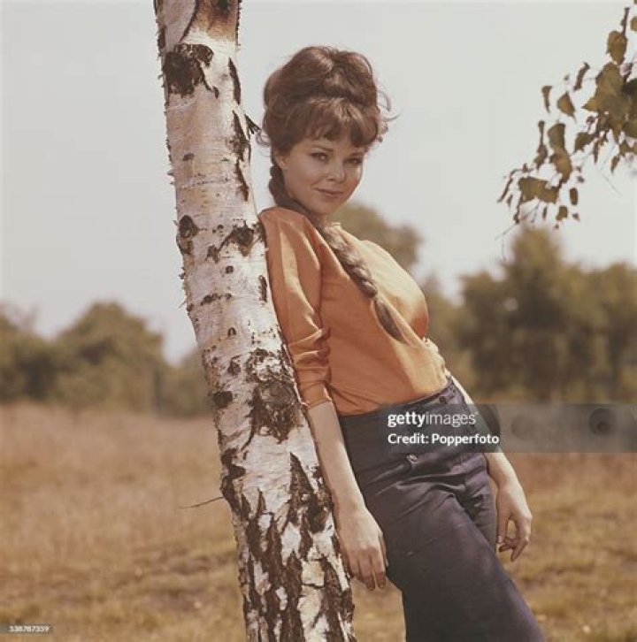 Discover The World Of Actress Anne Helm