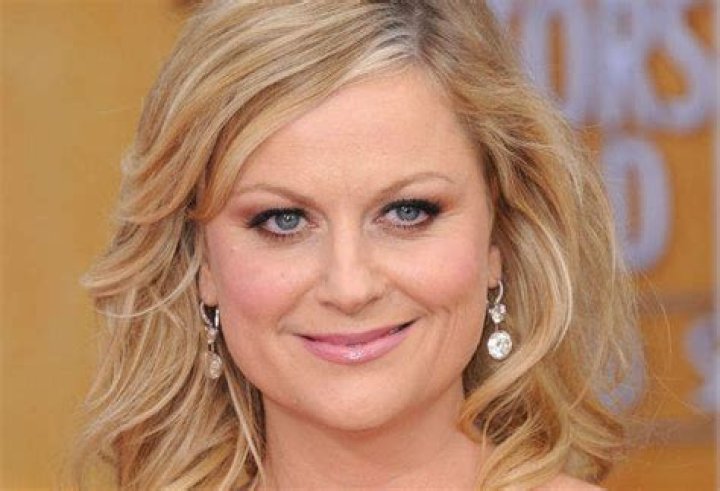 Unveiling Amy Poehler's Net Worth: Discoveries And Insights
