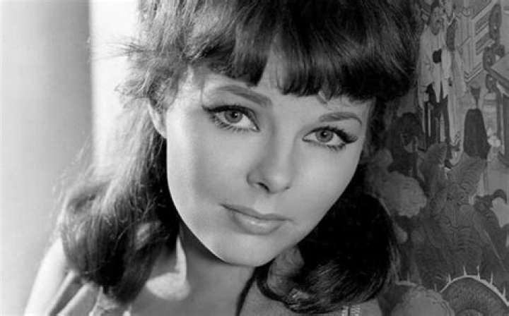 Unveiling Anne Helm's Net Worth: Discoveries And Insights