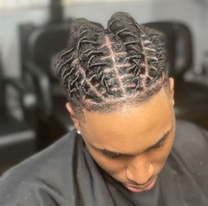 Unravel The Secrets Of Barrels Locs: Discoveries And Insights