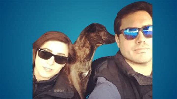 Discoveries And Insights About "Big Cats Wife Dan Katz"