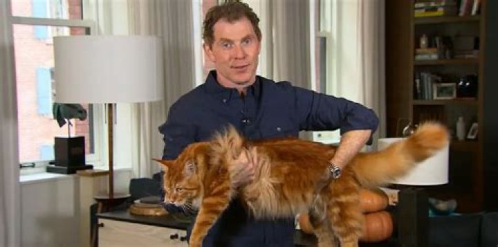 Unveil The Secrets Of Bobby Flay's Towering Presence
