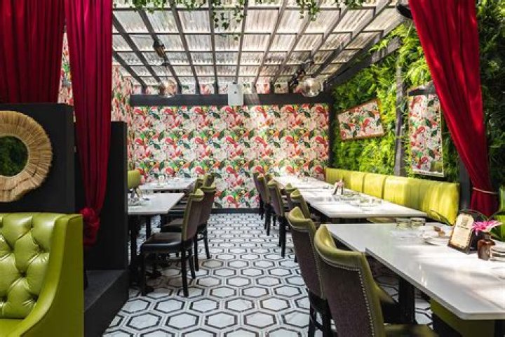 Discoveries That Will Enchant You