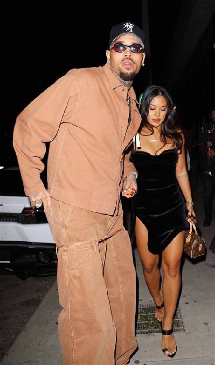 Unveiling The Rollercoaster Ride Of Chris Brown's Dating History
