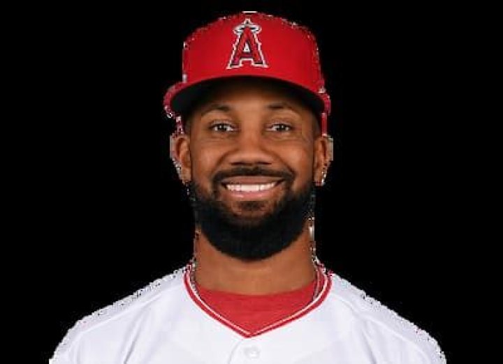 A Promise Of Musical Discoveries And Intimate Insights