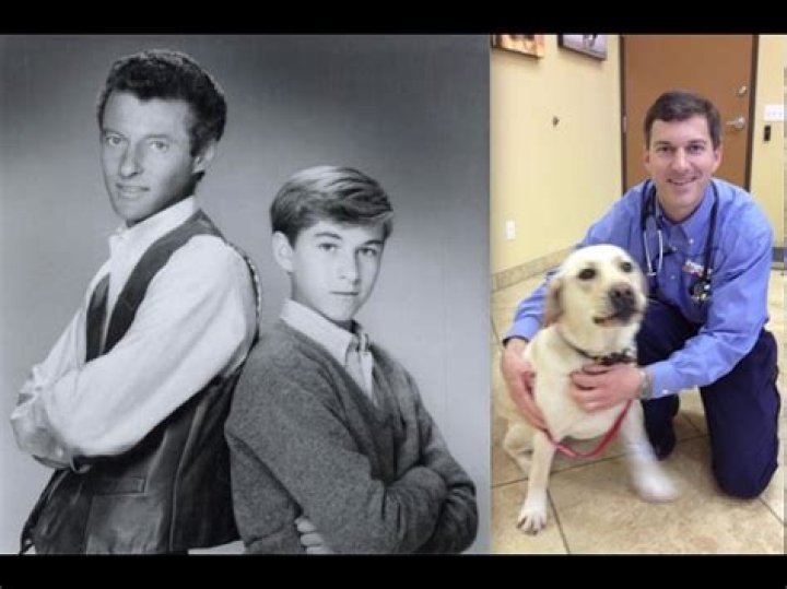 Discoveries And Insights Into Christian Osmond