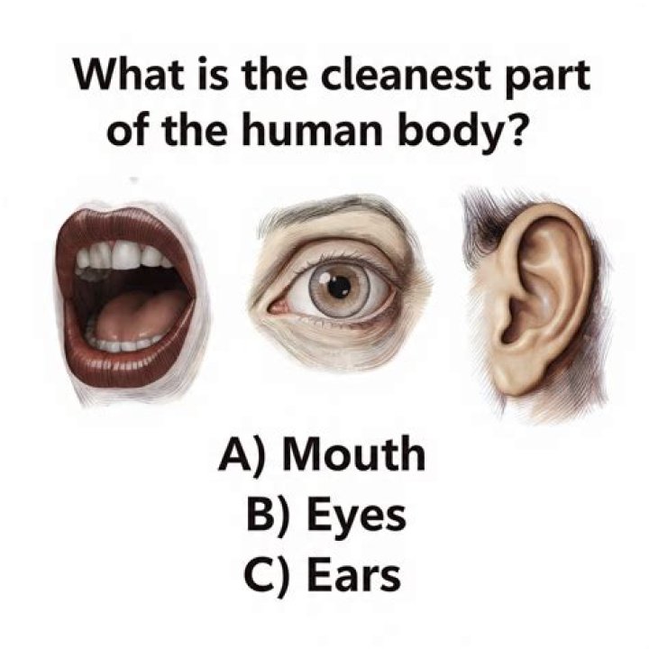 Unveiling The Cleanest Part Of The Human Body: Surprising Discoveries And Insights