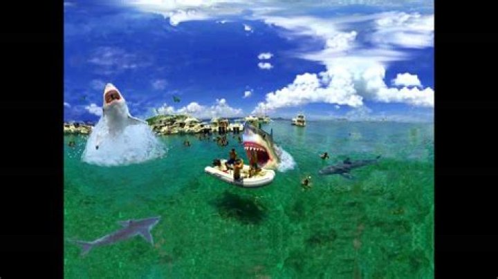 Unveiling The Wonders Of Cocoa Beach Sharks: Discoveries And Insights