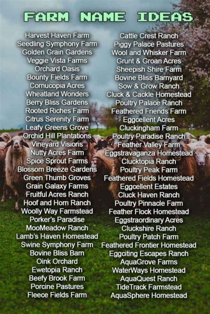 Discover The Sweet Symphony Of Cute Farm Names