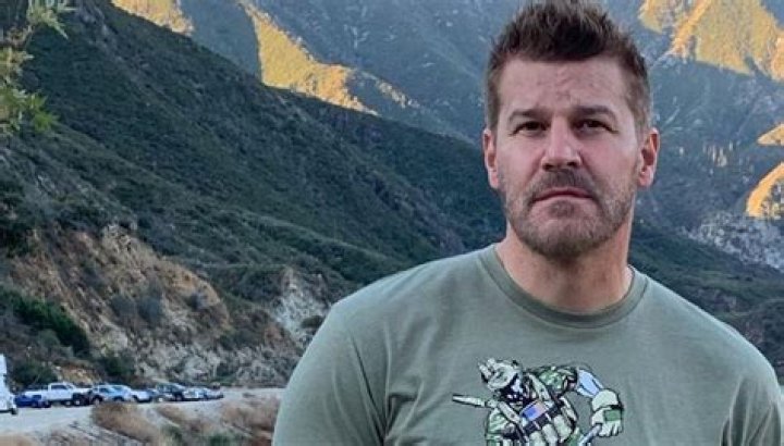 David Boreanaz's Height And Weight Unraveled