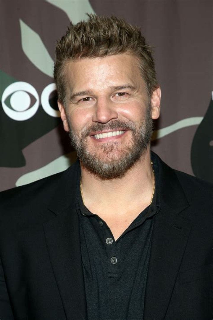 Unveiling David Boreanaz's Net Worth In 2024: Surprising Revelations