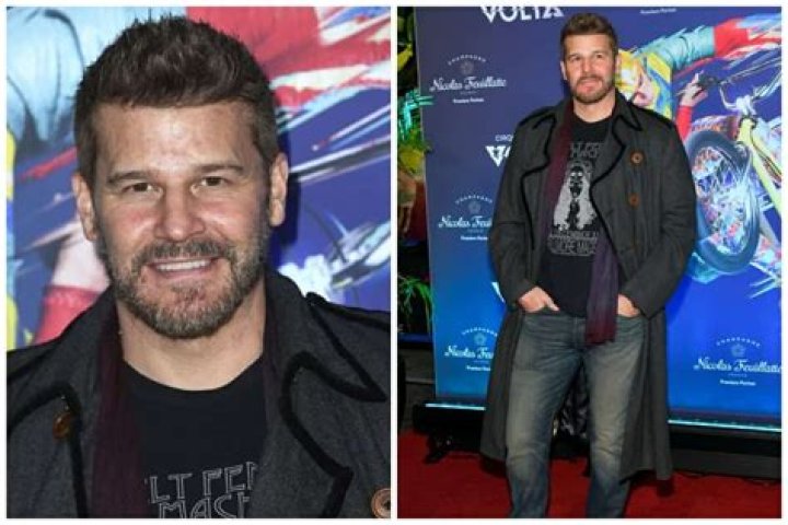 Unveiling David Boreanaz's Net Worth: Secrets And Strategies Revealed