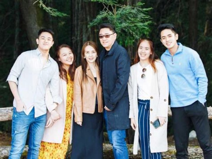 Discover The Hidden World Of David Licauco's Siblings