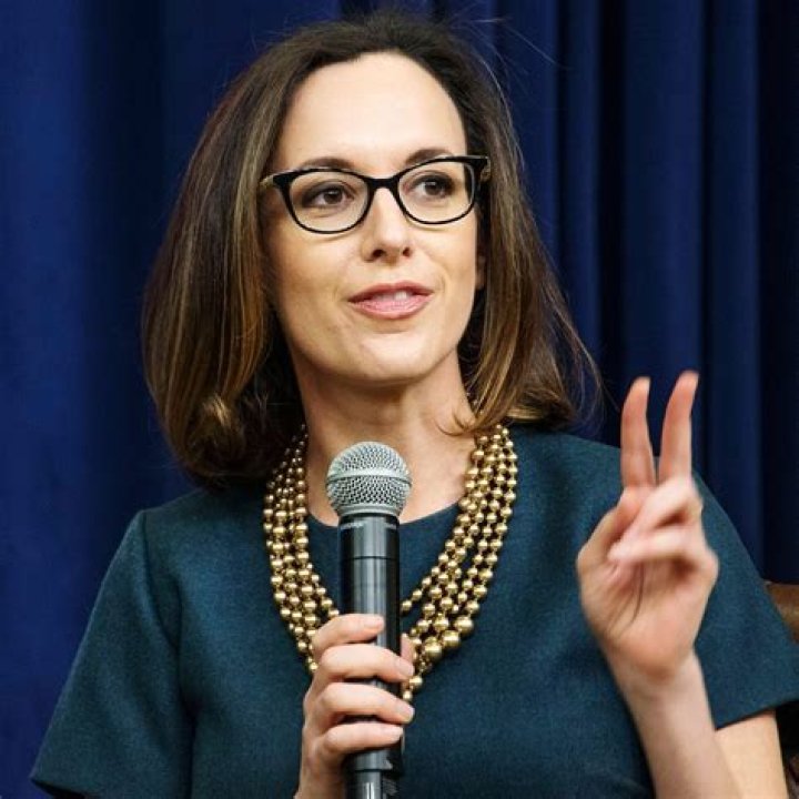 Unveiling The Journey Of Sarah Isgur: Motherhood And Beyond