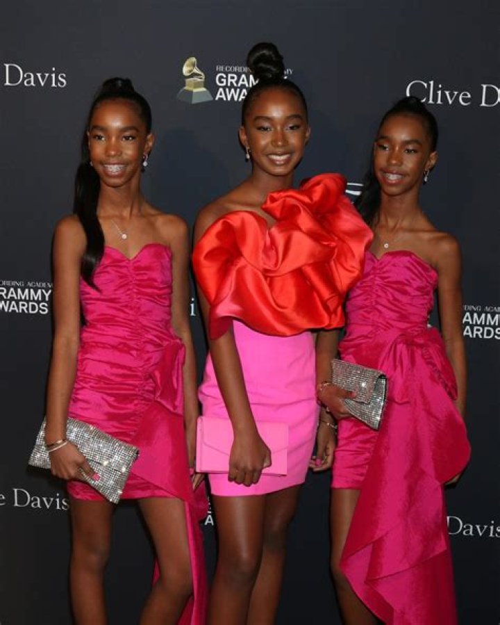 Unveil The Enchanting World Of D'lila Star Combs: Discover Hidden Styling Secrets