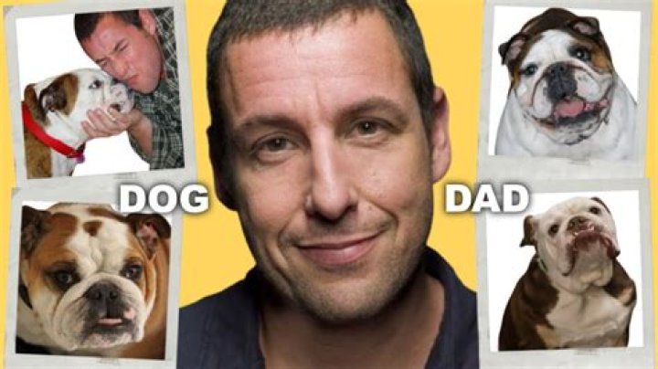 Unveiling Adam Sandler's Furry Companions: A Pet-Lover's Delight