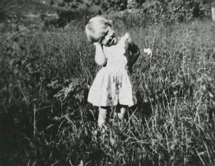 Uncovering Hidden Gems And Life Lessons