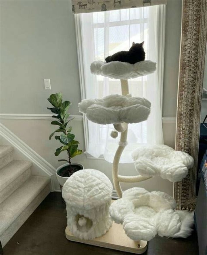 Unveiling The Secrets Of Fin And Fur Cat Trees: A Comprehensive Guide