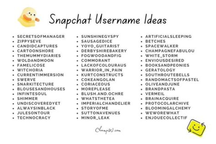Discover The Art Of Irresistible Funny Snapchat Usernames