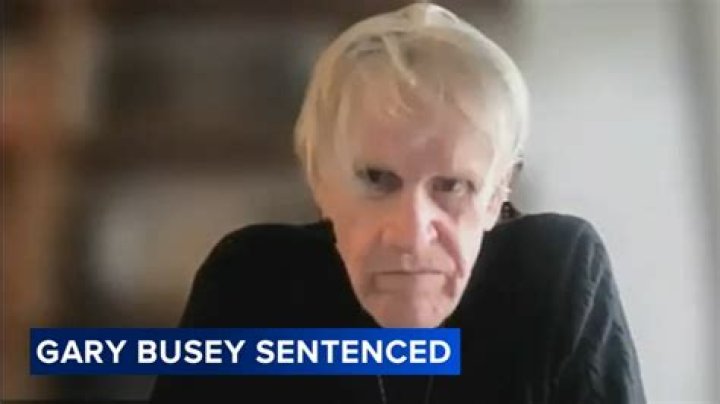 Unveiling The Enigma: Gary Busey Problems Deciphered