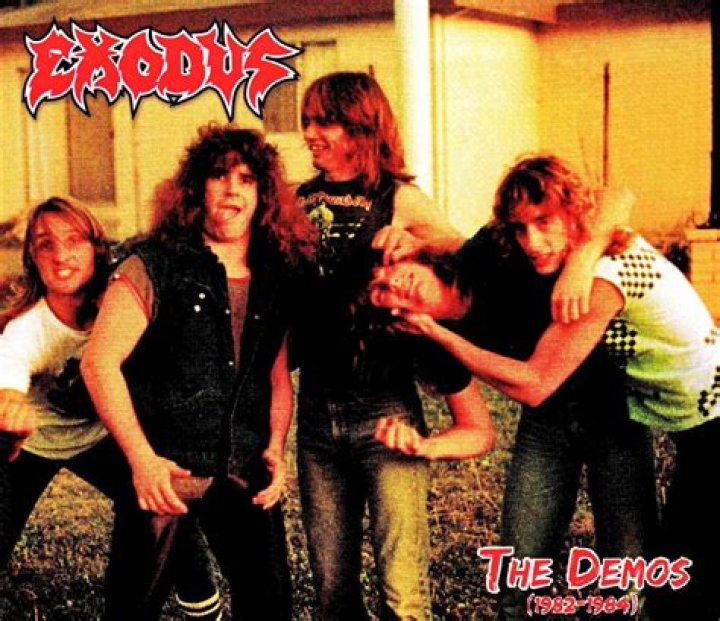 Discoveries And Insights For Your Organization's Success