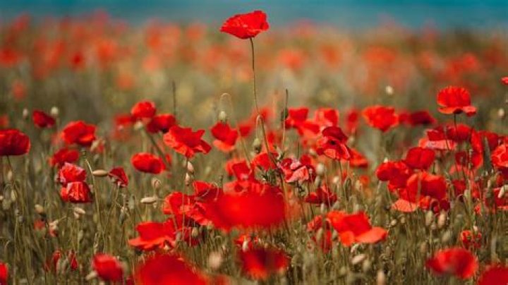 Unlock The Secrets Of Makeup Artistry With Hevan Flores