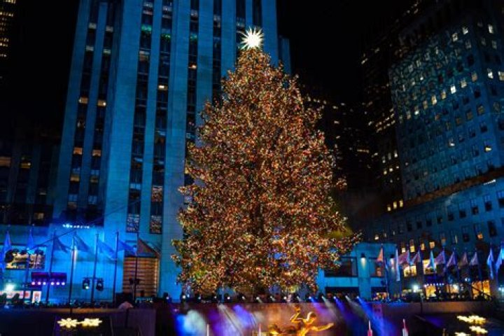 Discover The Rockefeller Center Christmas Tree Through A Lens