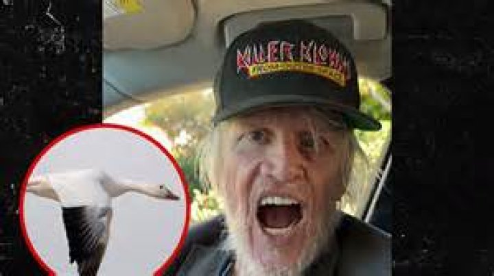 Is Gary Busey's Behavior A Sign Of Mental Illness? Uncover The Truth