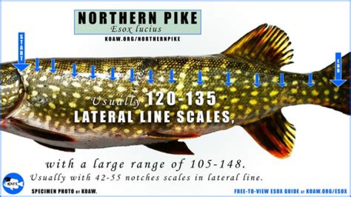 Unveiling The Legality Of Refusing Bathroom Use: Discoveries And Insights