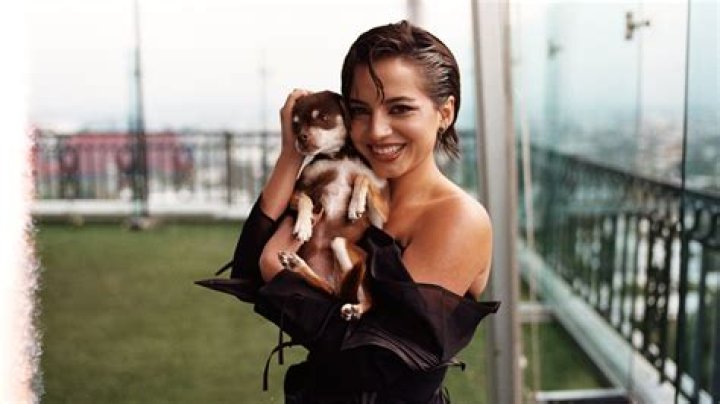 Unveiling The Role Of "isabela Merced Dad"