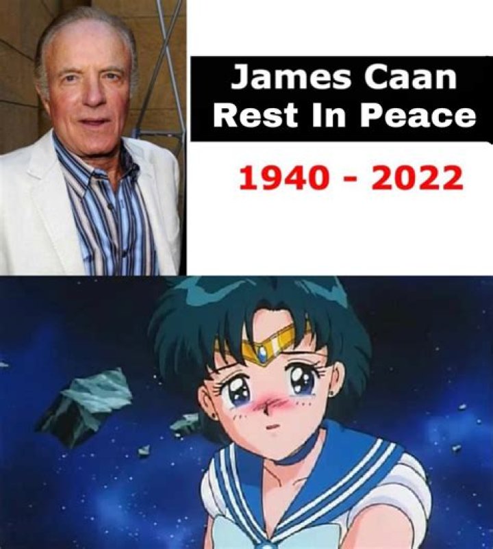 Uncovering The Talents Of James Caan's Sons