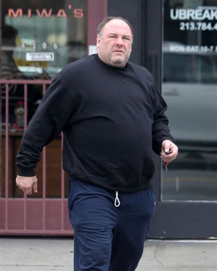 James Gandolfini's Weight Gain And Its Impact