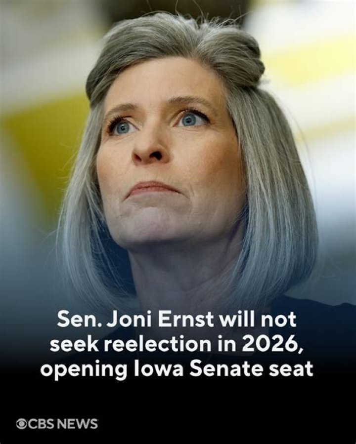 Unveiling Perks, Benefits, And Accountability