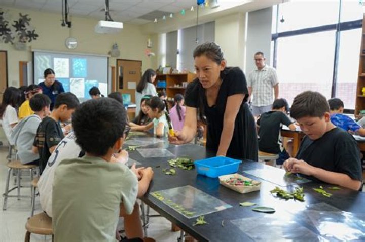 Unveiling Academic Excellence And Global Perspectives