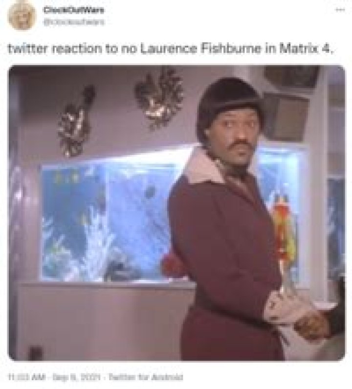 Unlock The Secrets Of The Laurence Fishburne Meme: Unveiling A Cultural Phenomenon