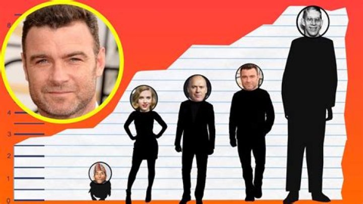 A Deep Dive Into His Height