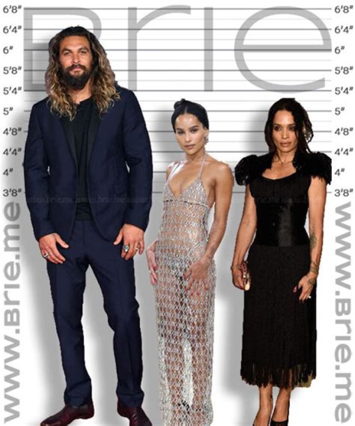 Unlocking The Mystery Of Lisa Bonet's Height