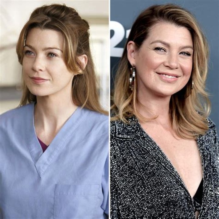 Meredith Grey's Plastic Surgery Journey: Uncovering Truths And Transformations