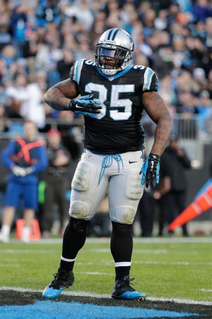 Unveiling The Secrets Of Mike Tolbert: A Gridiron Enigma