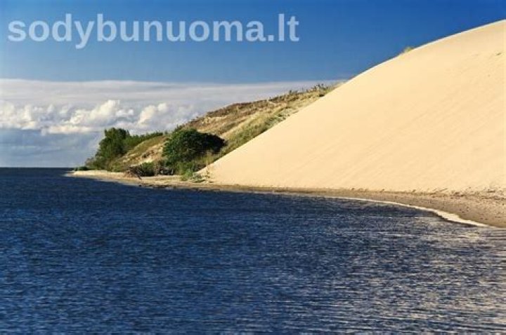 Unveiling Nida Tiesiogiai: Intriguing Insights And Discoveries