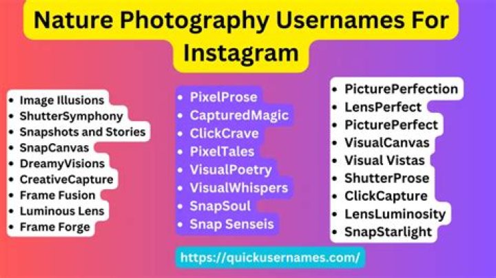 A Guide To Irresistible Instagram Photography Names