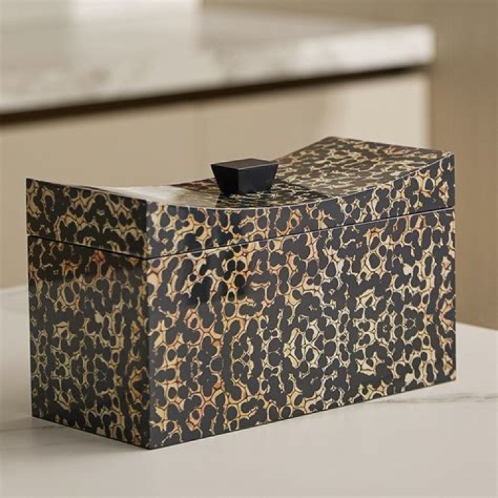 A Legal Journey Of Empowerment