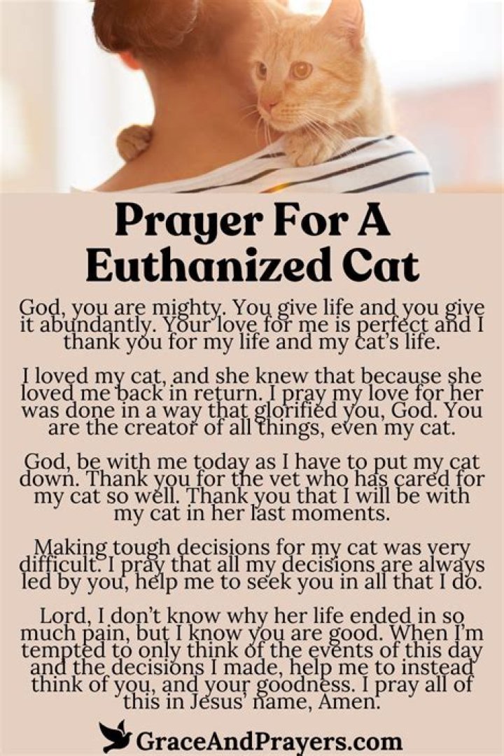 Unveiling Comfort, Hope, And Spiritual Guidance