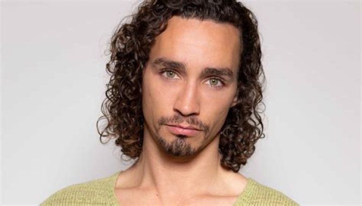 Robert Sheehan's Partner In 2024