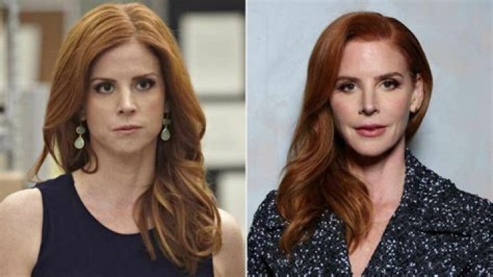 Unveiling Sarah Rafferty's Plastic Surgery: Discoveries And Insights