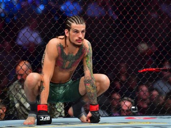 Unveiling The Enigma: Sean O'Malley's Record Deciphered