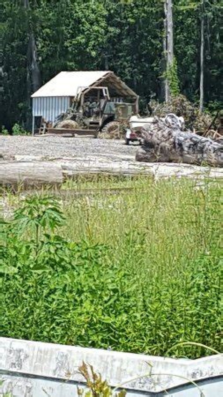 Unveiling The Historic Charm And Architectural Legacy Of The Shelby Stanga House