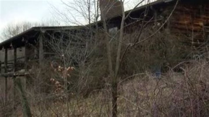 Unraveling Shelvagean Rhoden: Secrets Revealed